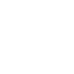 minconsult mining exploration